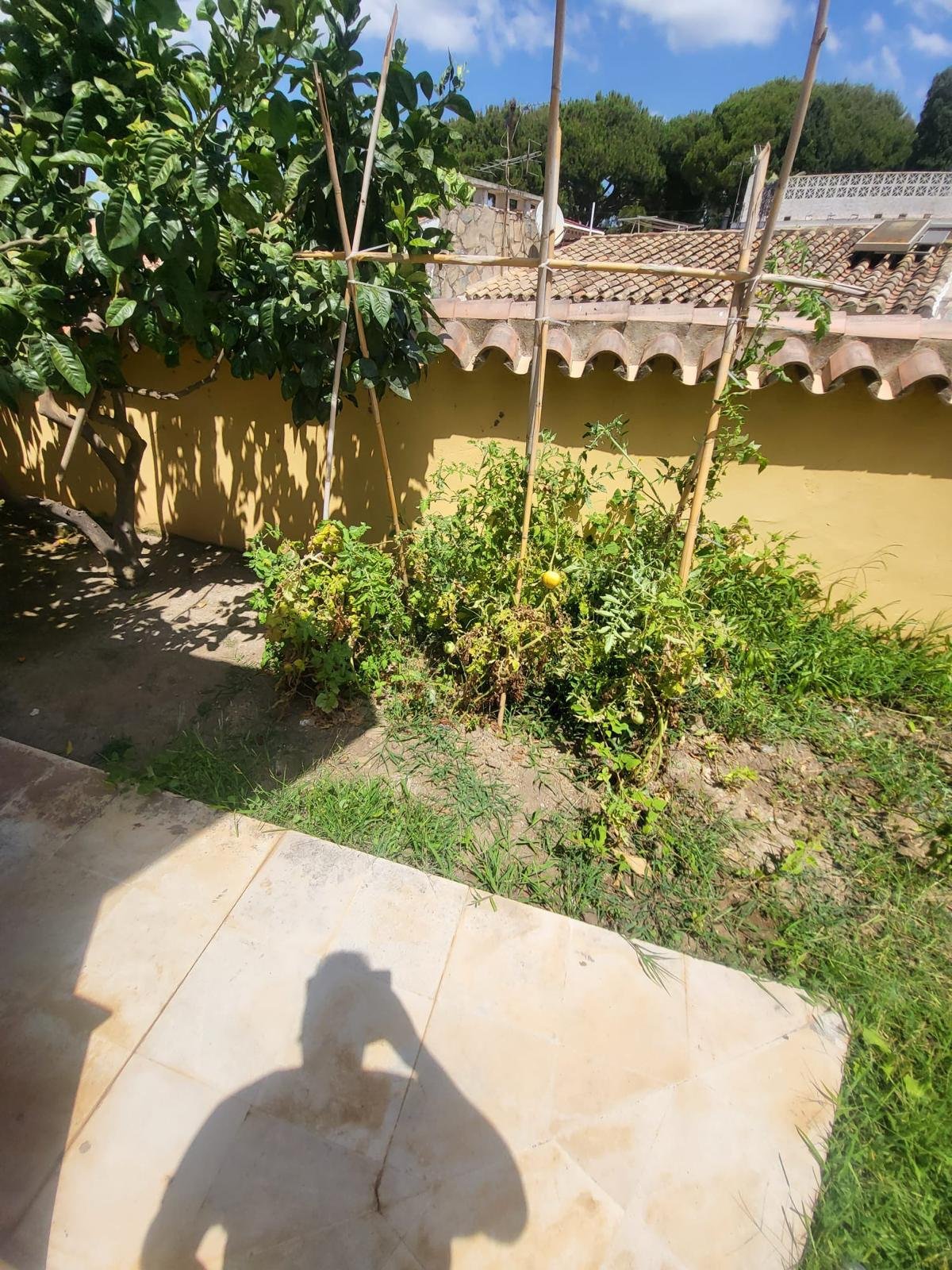 Finca rústica a reformar en Sant Joan — foto 2